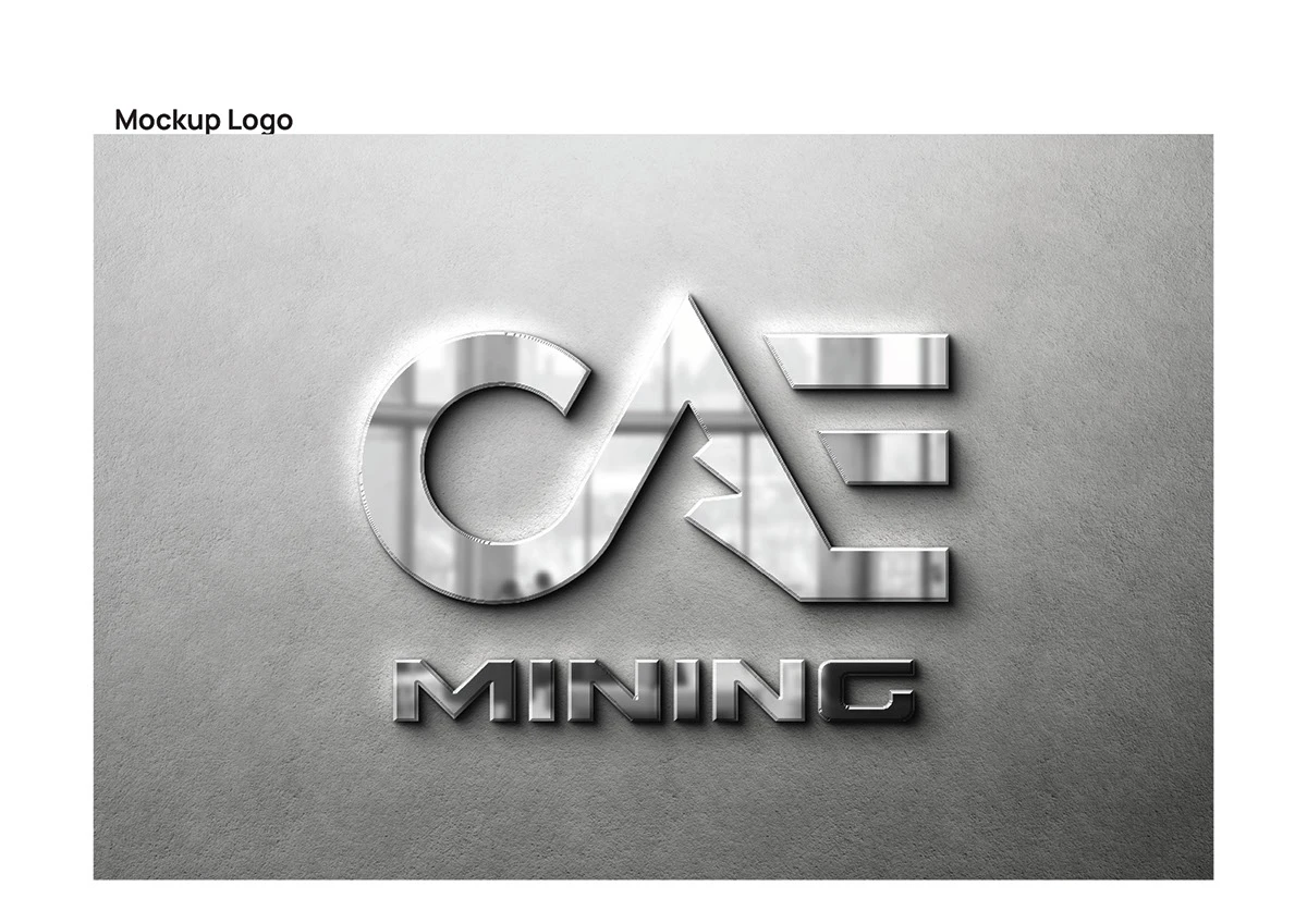 CAE — 8.2